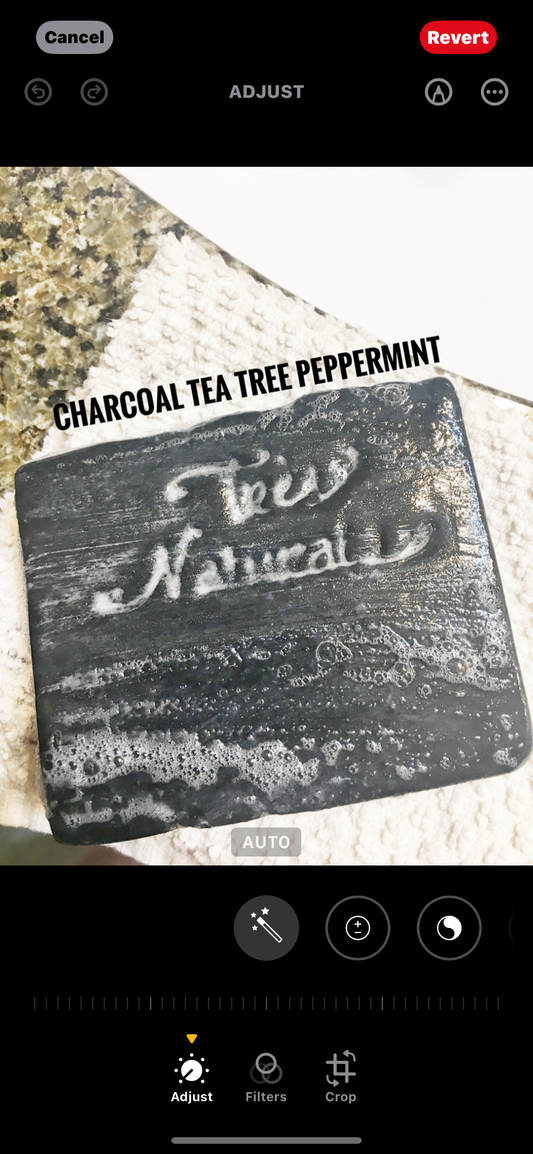 Tea Tree Peppermint Charcoal Detox vegan soap